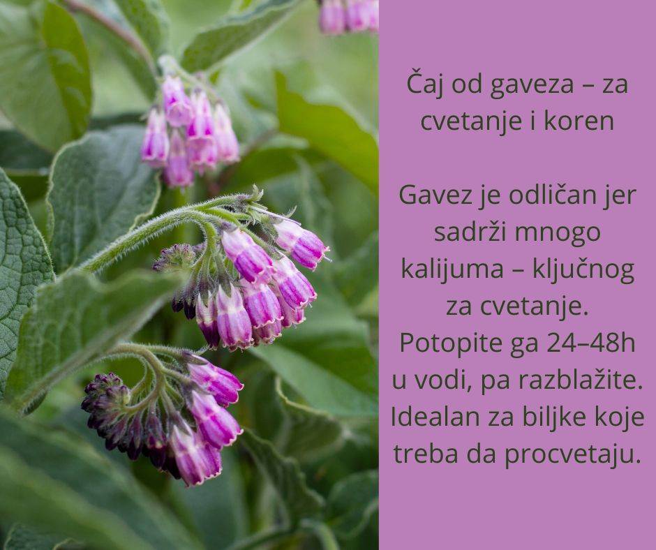 caj za djubrenje cveca (4).jpg