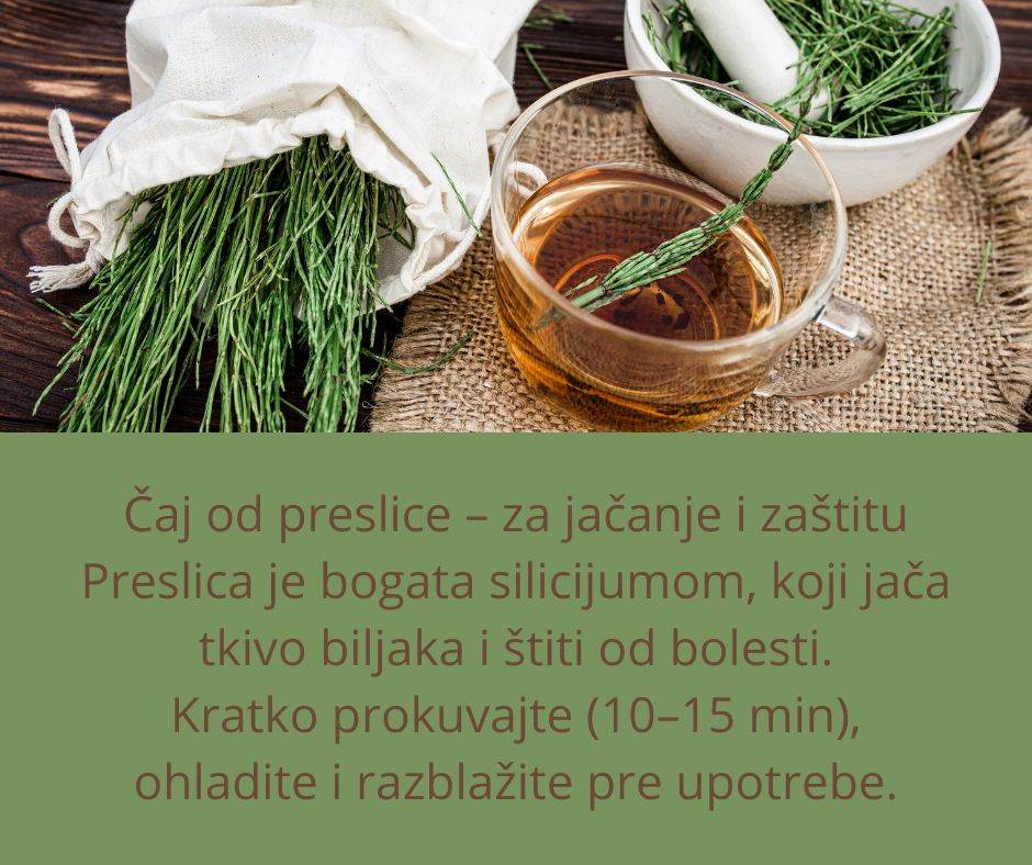 caj za djubrenje cveca (3).jpg