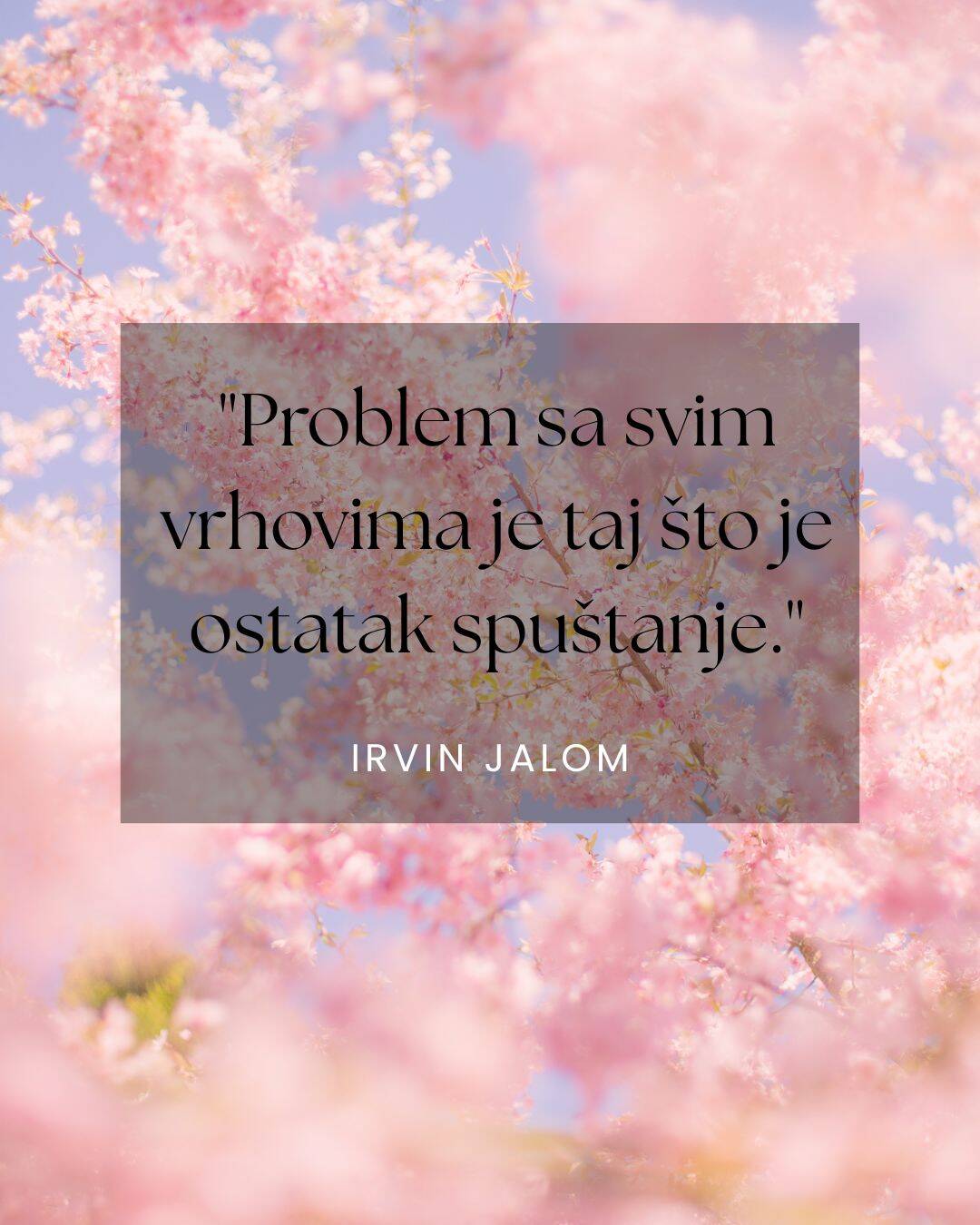 Irvin jalom citati (2).jpg