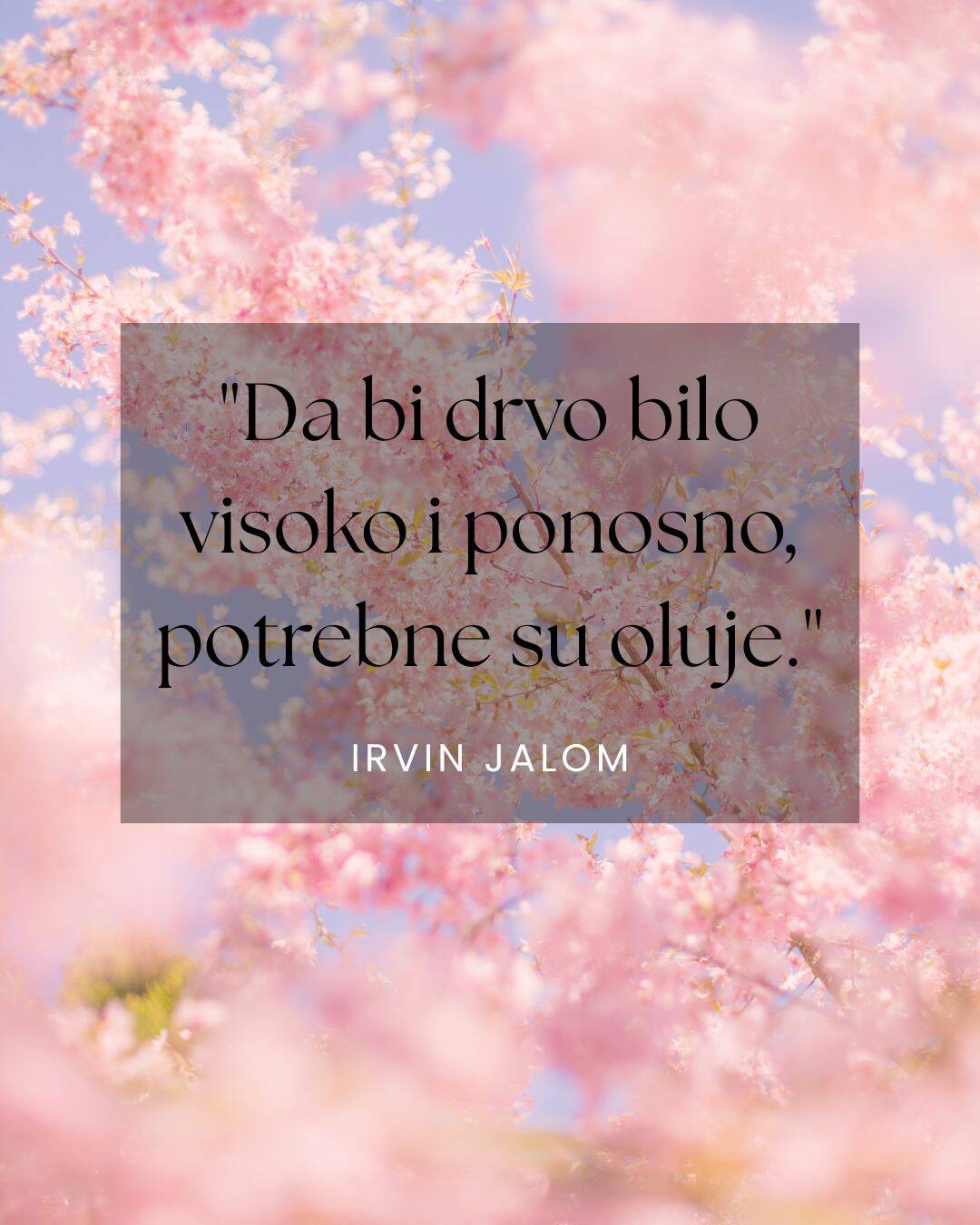 Irvin jalom citati.jpg