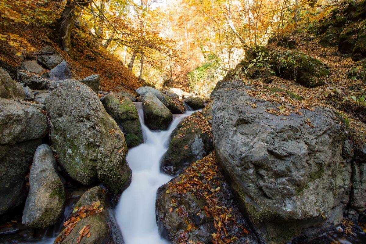 Najviša banja u Srbiji je raj za starije u oktobru