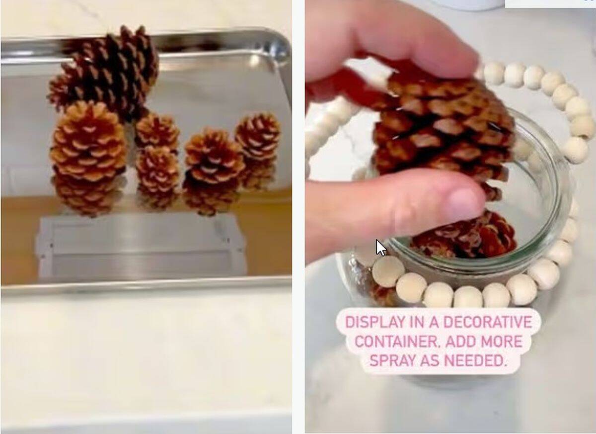 2026_10_29_13_30_58_Mum_shares_baked_pine_cone_hack_to_make_your_home_smell_like_autumn_Mirror_O.jpg