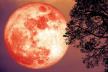Pun Mesec u Strelcu 3 juna 2023 godine budite spremni na akciju izazove ali i slavlje.