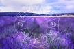 Vikend horoskop od 20. do 22. juna 2025
