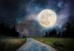 shutterstock_1459711568.jpg
