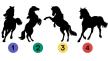 Horse-test.jpg
