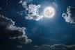 shutterstock_1906709041.jpg