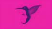 Visual-test-with-bird-and-face.jpg