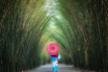 shutterstock_2613038213.jpg