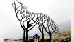 Wolf-tree-house-test.jpg