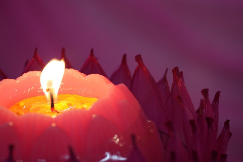 Razumevanje tela kroz meditaciju