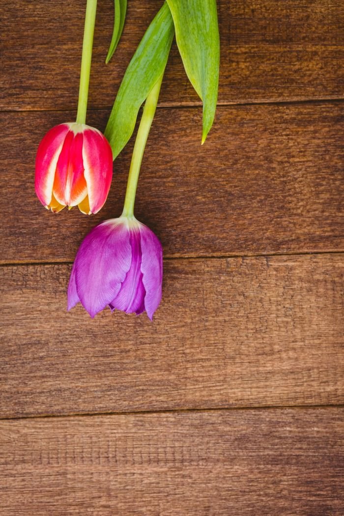 Nik Vujičić: 10 saveta koji će vam pomoći da krenete srećnom stazom