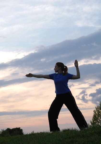 Tai chi chuan – stil Zmije