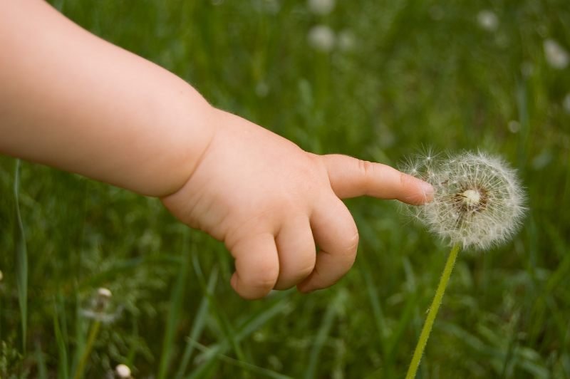 Buđenje novog sveta