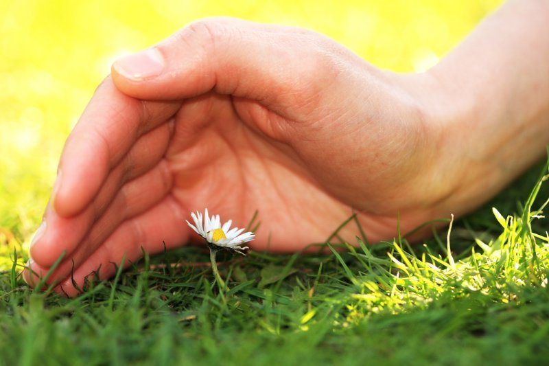 Buđenje novog sveta