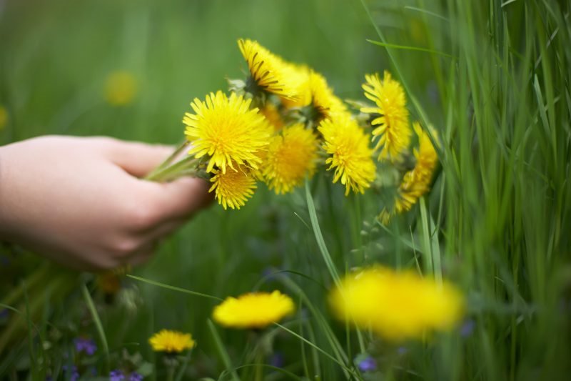 Gde se krije sreća?