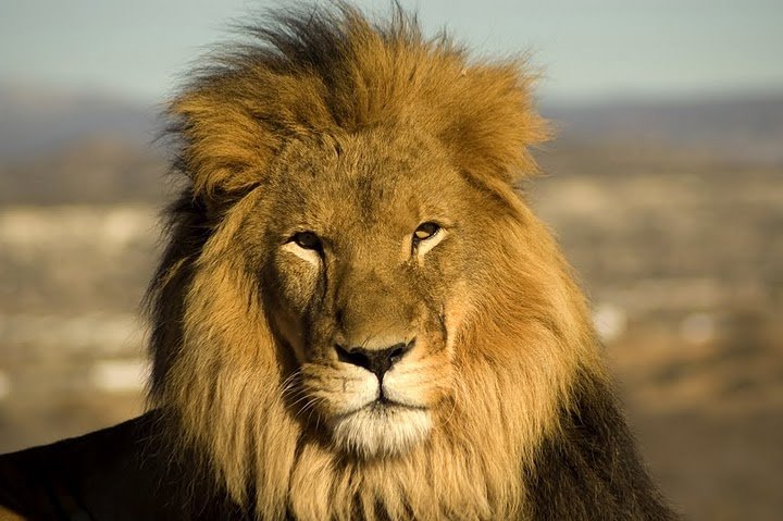 Verujte sebi - povratite samopouzdanje