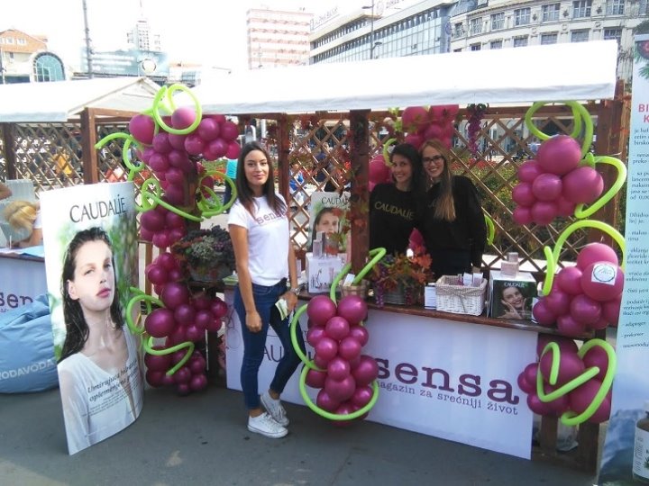 Sensa festival Zdrav Beograd 2016. u srcu prestonice