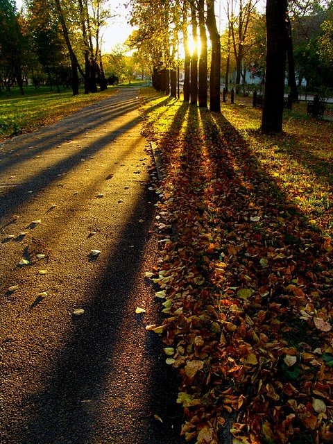 Istina unutrašnjeg srca