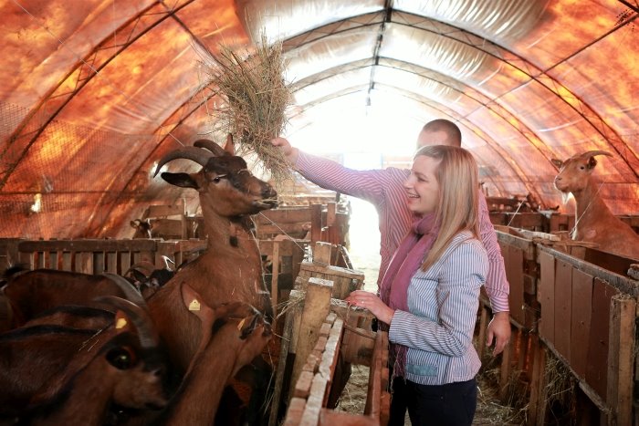 Uspeh se rađa iz vere: od placa do farme koza, put koji su prešli Jelena Marić i Aleksandar Stepanić