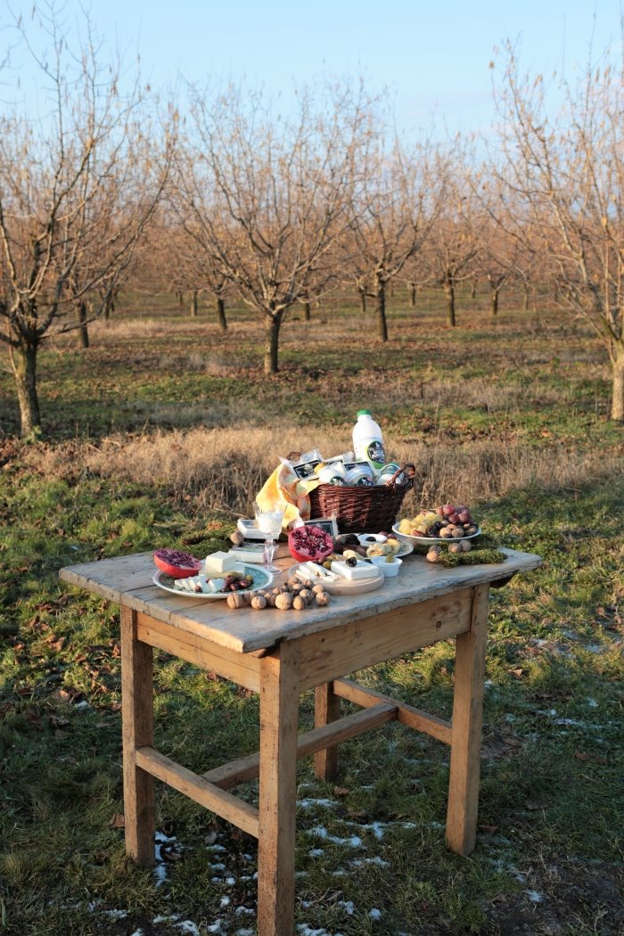 Uspeh se rađa iz vere: od placa do farme koza, put koji su prešli Jelena Marić i Aleksandar Stepanić