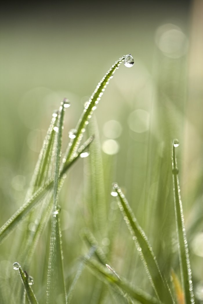 Ulazimo u novu geološku epohu - antropocen - i naš ekološki otisak biće zapisan u slojevima planete Zemlje