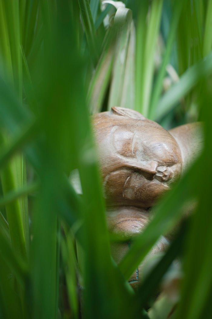 Ulazimo u novu geološku epohu - antropocen - i naš ekološki otisak biće zapisan u slojevima planete Zemlje