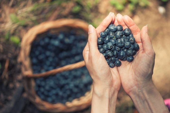 Kako da snizite kortizol uz pomoć hrane