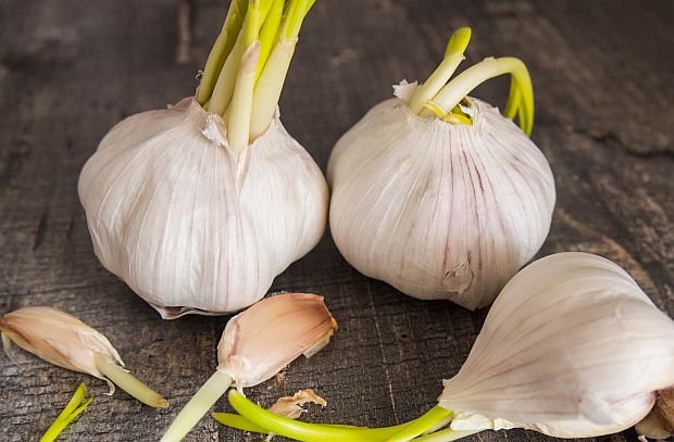 5 namirnica bustuje kolagen za kosu