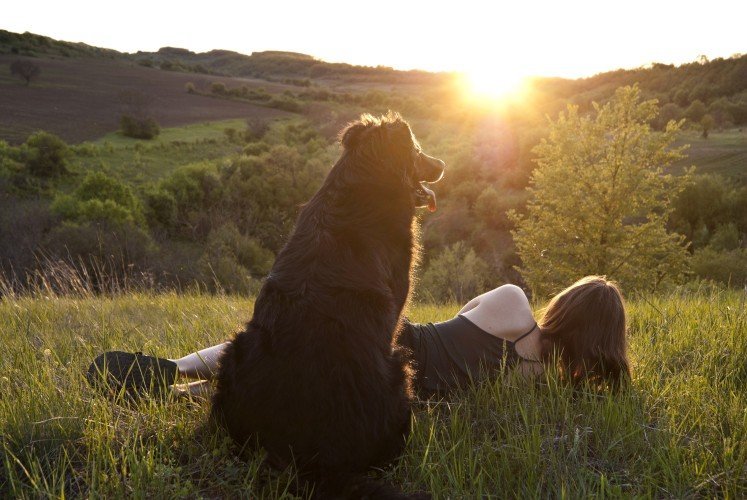 Lakim korakom do boljeg raspoloženja