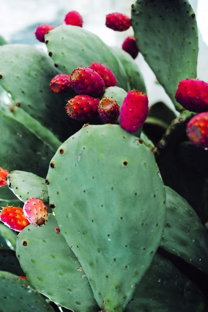 Neki poslovi nisu više rezervisani samo za muškarce: ako pratiite svoje snove, možete se baviti bilo kojim poslom