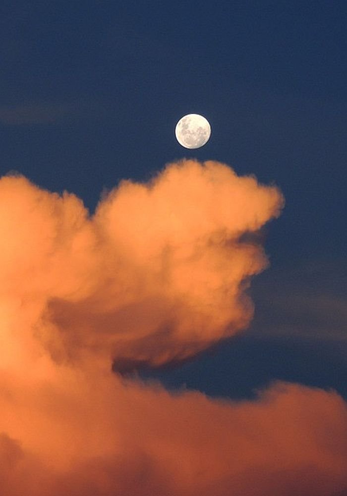 Horoskop - očekuje nas pomračenje punog Meseca: evo koje stvari treba da izbegnete (21. januar 2019.)