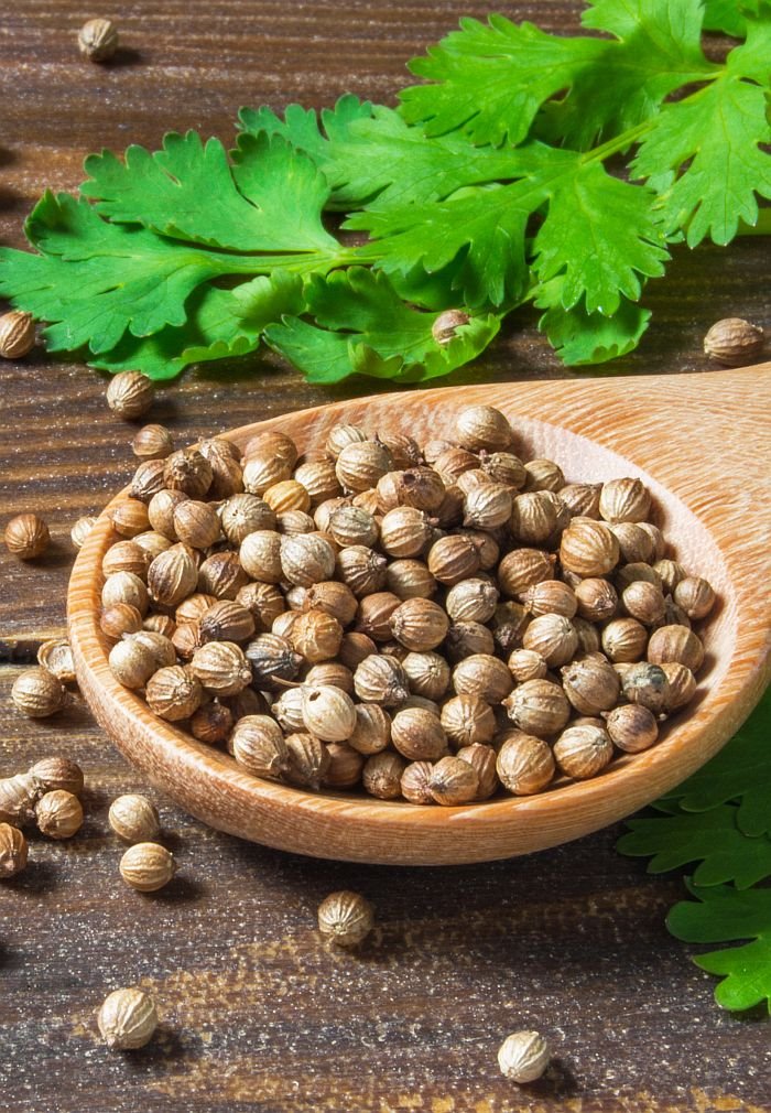 Čisti organizam, reguliše probavu i smanjuje holesterol: mnogi su zaboravili da je ova biljka čudesna za zdravlje