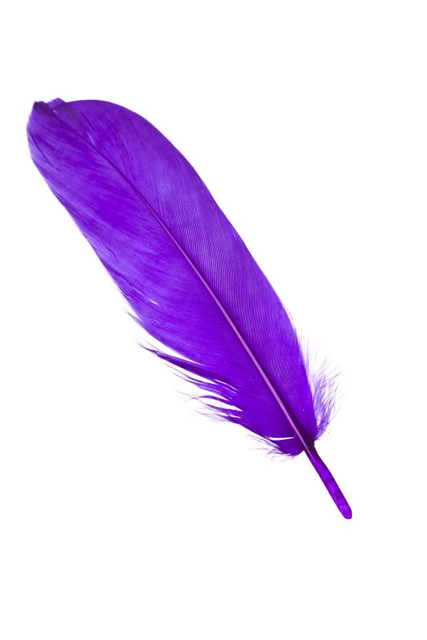 TEST - izaberite jedno pero i zavirite u budućnost: otkrićete nešto što niste znali o svojoj ličnosti