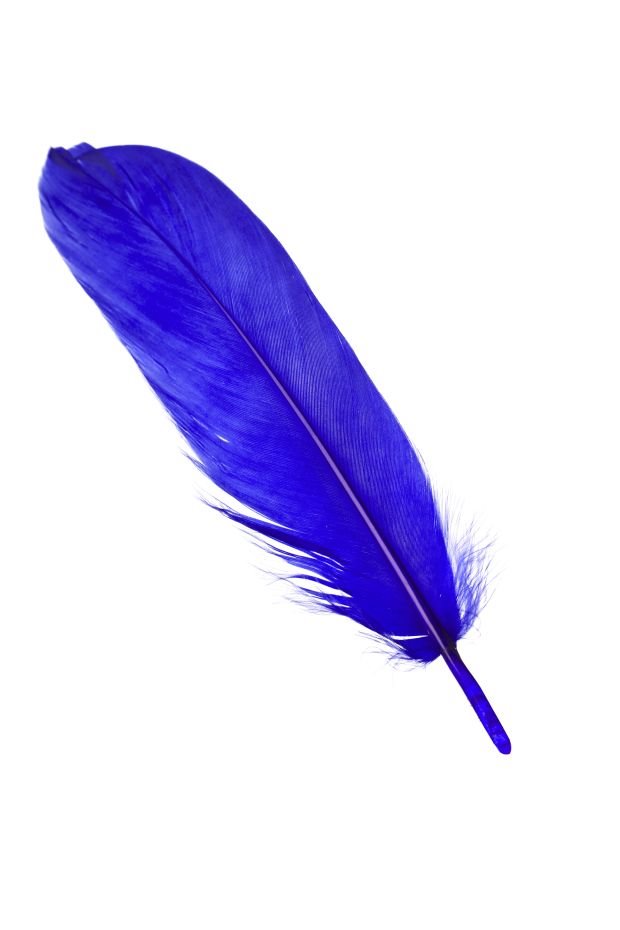 TEST - izaberite jedno pero i zavirite u budućnost: otkrićete nešto što niste znali o svojoj ličnosti