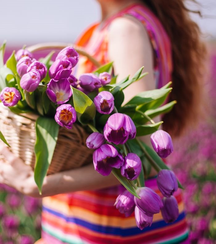 Numerološka prognoza za maj 2019. godine: ljubav, posao i novac za vaš broj