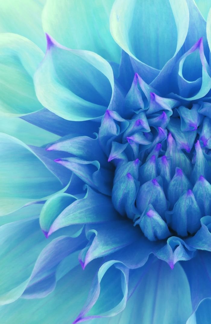 Mesečev horoskop do 1. avgusta 2019. godine: Rakove očekuje velika transformacija, a Vagu pojačana ljubavna osećanja