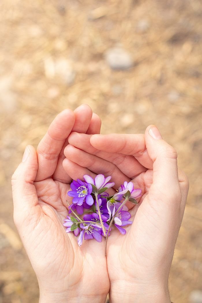 Nedeljni ljubavni horoskop: Ovnove očekuje bliskost i poverenje, a Lava pozitivne promene (do 18. novembra 2019.)
