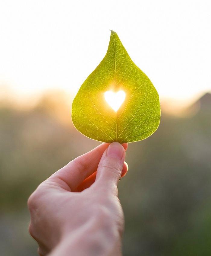 OVAN, BIK, BLIZANCI - VELIKI LJUBAVNI HOROSKOP ZA 2020. GODINU