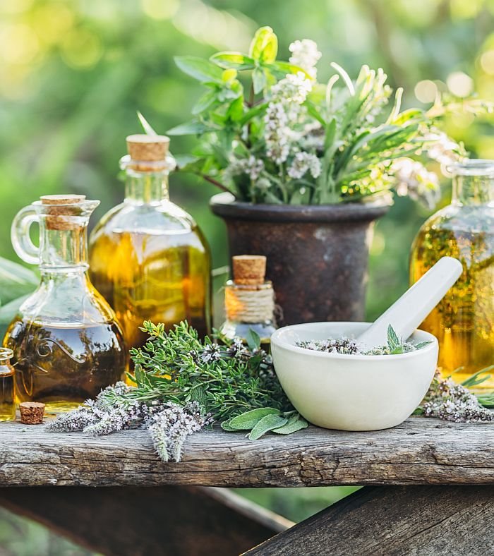 10 biljaka koje smanjuju VISOK PRITISAK: najbolji prirodni lekovi koje uvek treba imati u kući