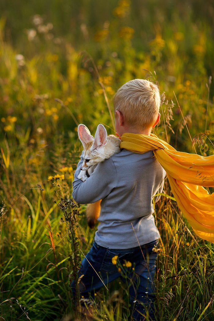 5 životnih lekcija koje smo naučili od MALOG PRINCA: Oči su slepe - treba tražiti srcem