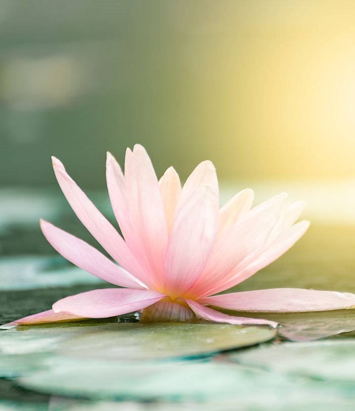 10 budističkih pravila za sreću u LJUBAVI: Kada bi Buda išao na romantične sastanke...