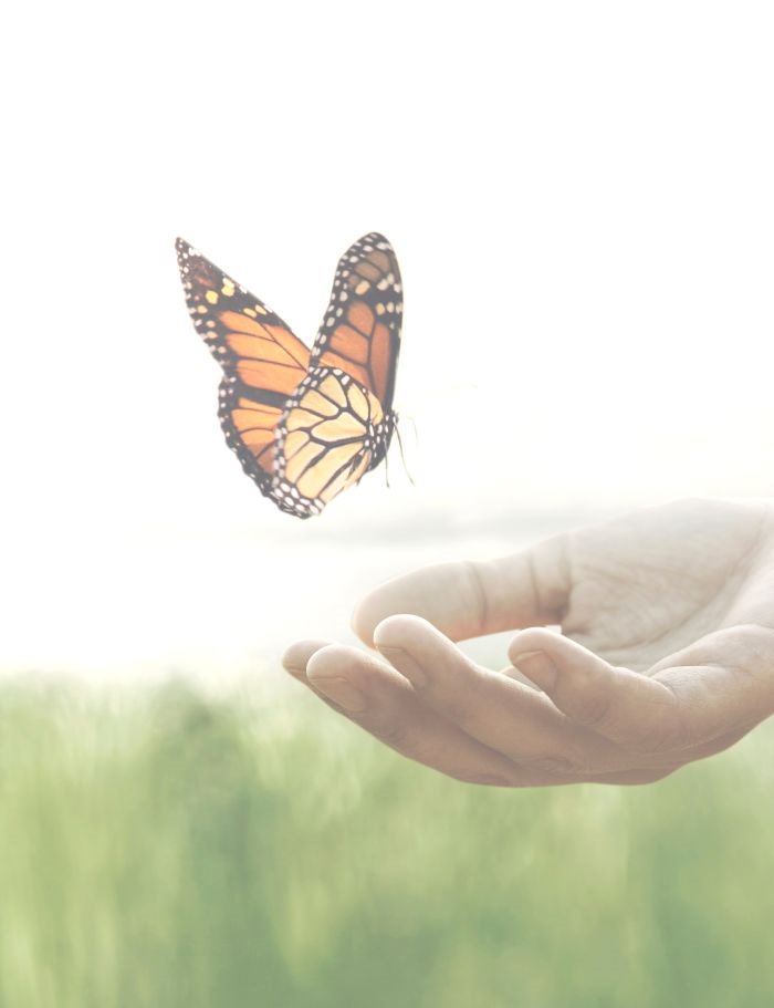 7 znakova obilja, prosperiteta i dobre sreće: ako ovo često viđate, vaše želje će se vrlo brzo ispuniti