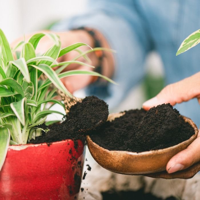 Ne bacajte talog od kafe: možete ga iskoristiti na 7 super načina