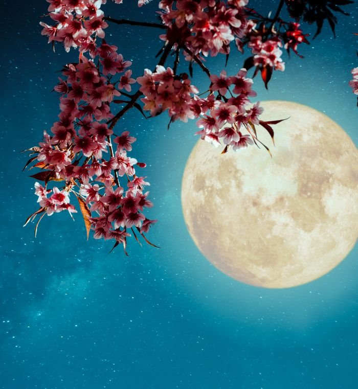 HOROSKOP - VEČERAS JE PUN MESEC U RAKU: Pronalazi vas najsvetlija ljubav (30. decembar)