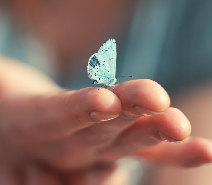 NEDELJNI HOROSKOP DO 7. FEBRUARA 2021. GODINE: Sedmica u kojoj ćete osetiti dodir sreće