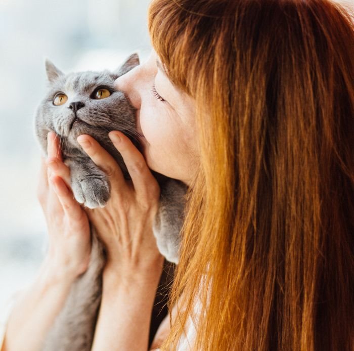 3 BUDISTIČKE LEKCIJE KOJE MOŽETE NAUČITI OD SVOJE MAČKE: Privlače sreću i menjaju život na bolje