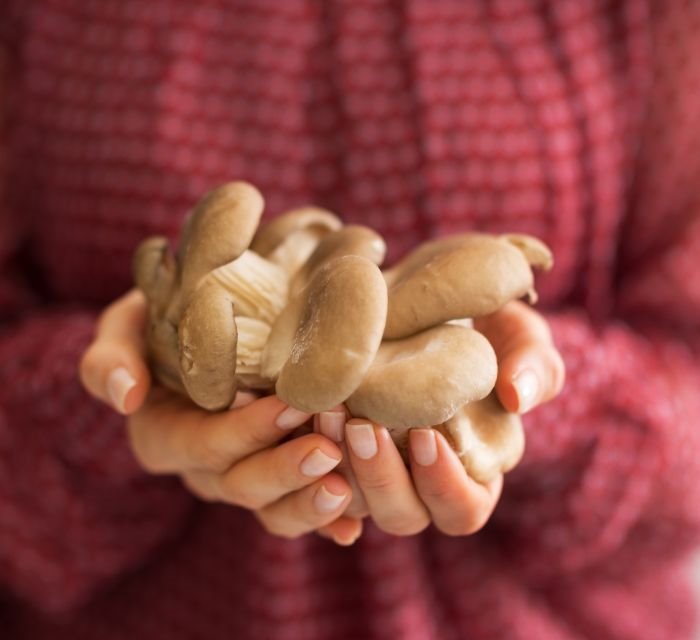 5 NAMIRNICA KOJE SU U ISHRANI KORISTILI STARI INDIJANCI: Čuvaju srce, puni su vitamina i čiste telo od toksičnih materija