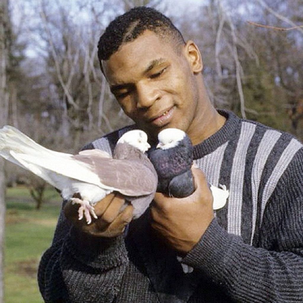 10.APR.2012 MIKE TYSON IN THIS GREAT CELEBRITY TWITTER PICTURE!,Image: 125708245, License: Rights-managed, Restrictions: PLEASE CREDIT AS PER BYLINE *XPOSURE PHOTOS DOES NOT CLAIM ANY COPYRIGHT OR LICENSE IN THE ATTACHED MATERIAL* *GERMAN CLIENTS, PLEASE CALL TO AGREE FEE PRIOR TO PUBLICATION*, Model Release: no, Credit line: DC / Backgrid UK / Profimedia