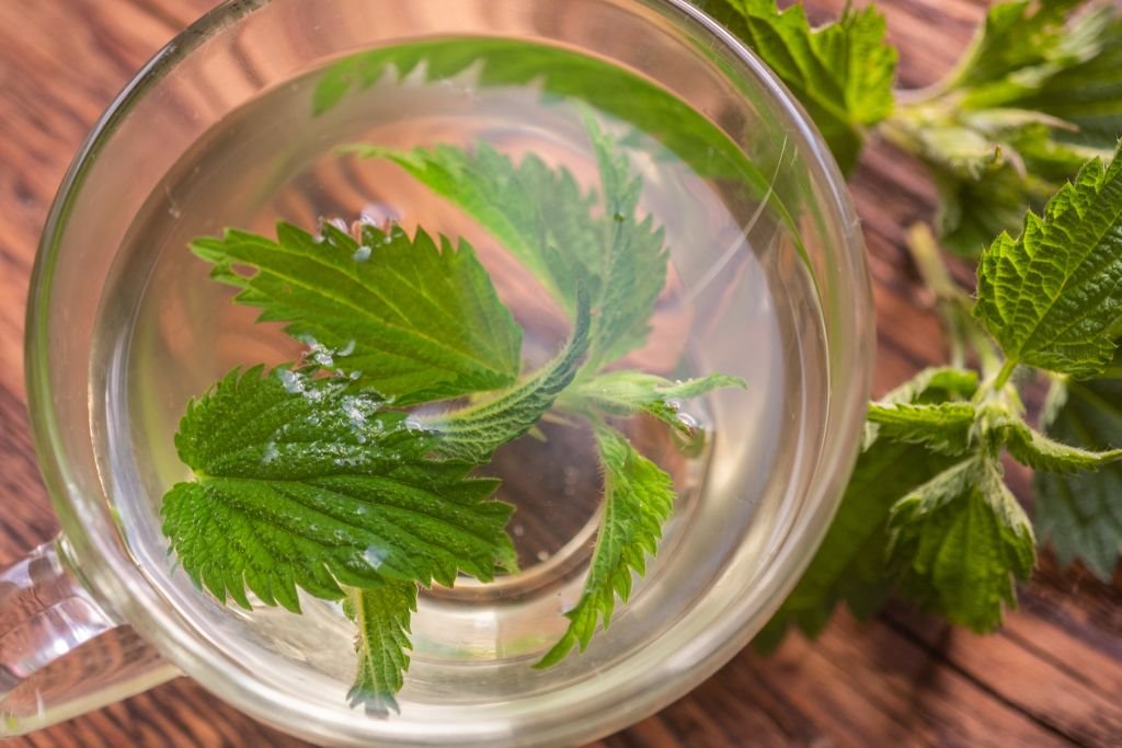 5 najboljih prirodnih preparata za ispiranje kose